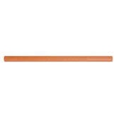 Bestway Noodle Aquabones 122Cm .